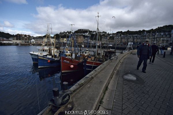 Tato Rosés - Indomitus