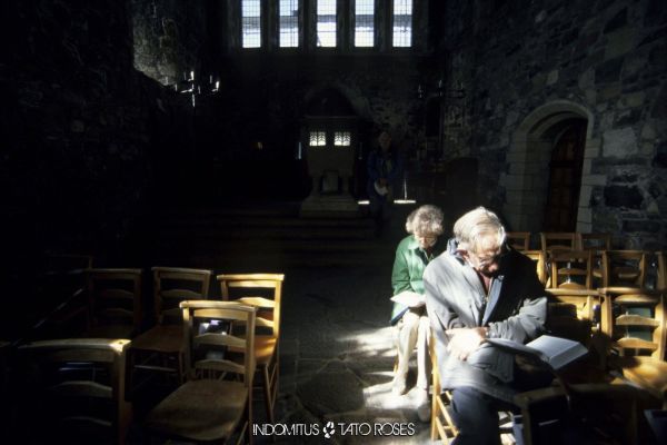 Tato Rosés - Indomitus