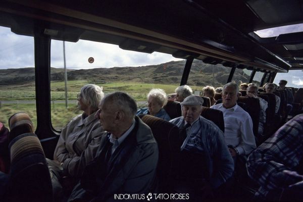 Tato Rosés - Indomitus