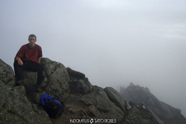 Tato Rosés - Indomitus