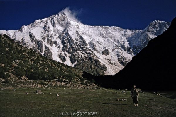 Tato Rosés – Indomitus Pakistán