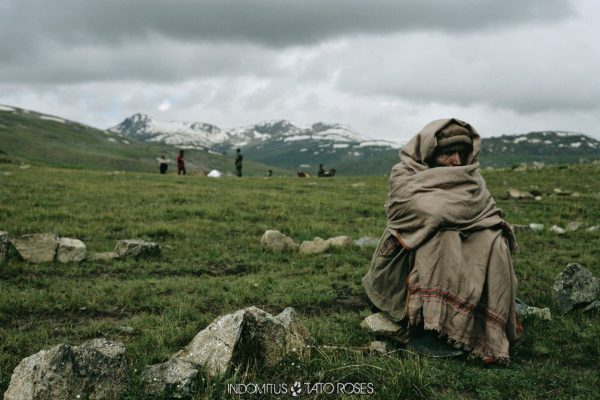 Tato Rosés – Indomitus Tato Rosés - Indomitus