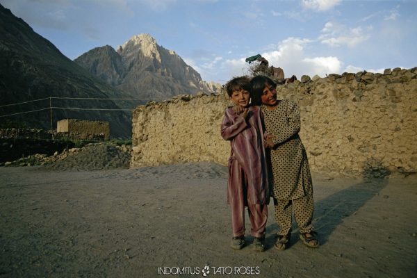 Tato Rosés – Indomitus Tato Rosés - Indomitus